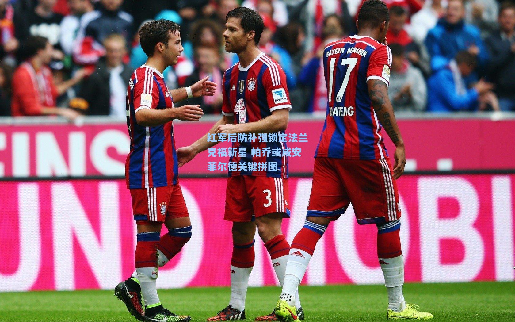 红军后防补强锁定法兰克福新星 帕乔或成安菲尔德关键拼图